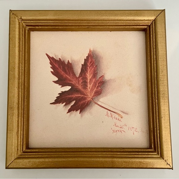 Other - Leaf 🍁 Art Print in Gold Frame